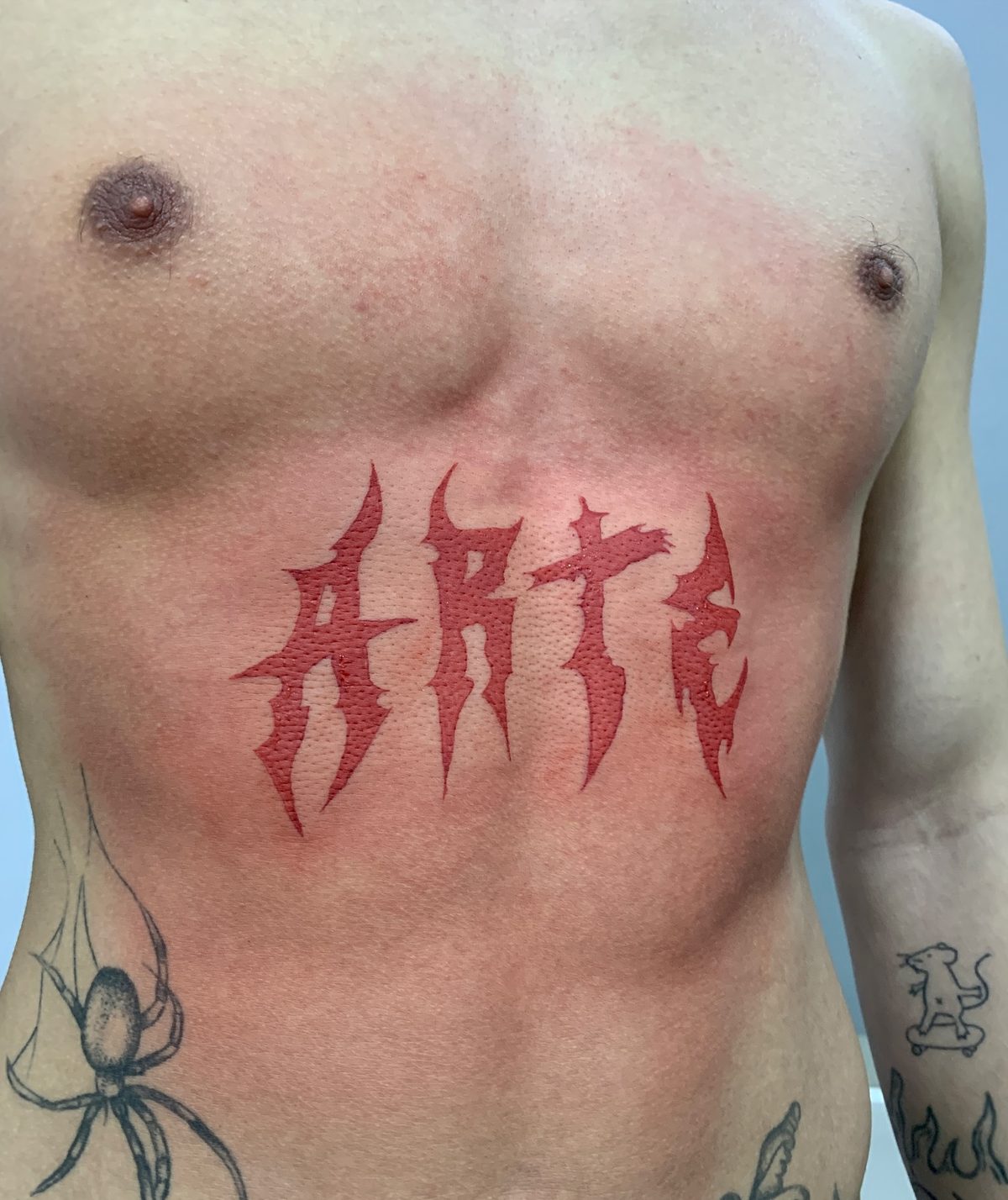Arte, peito, freehand