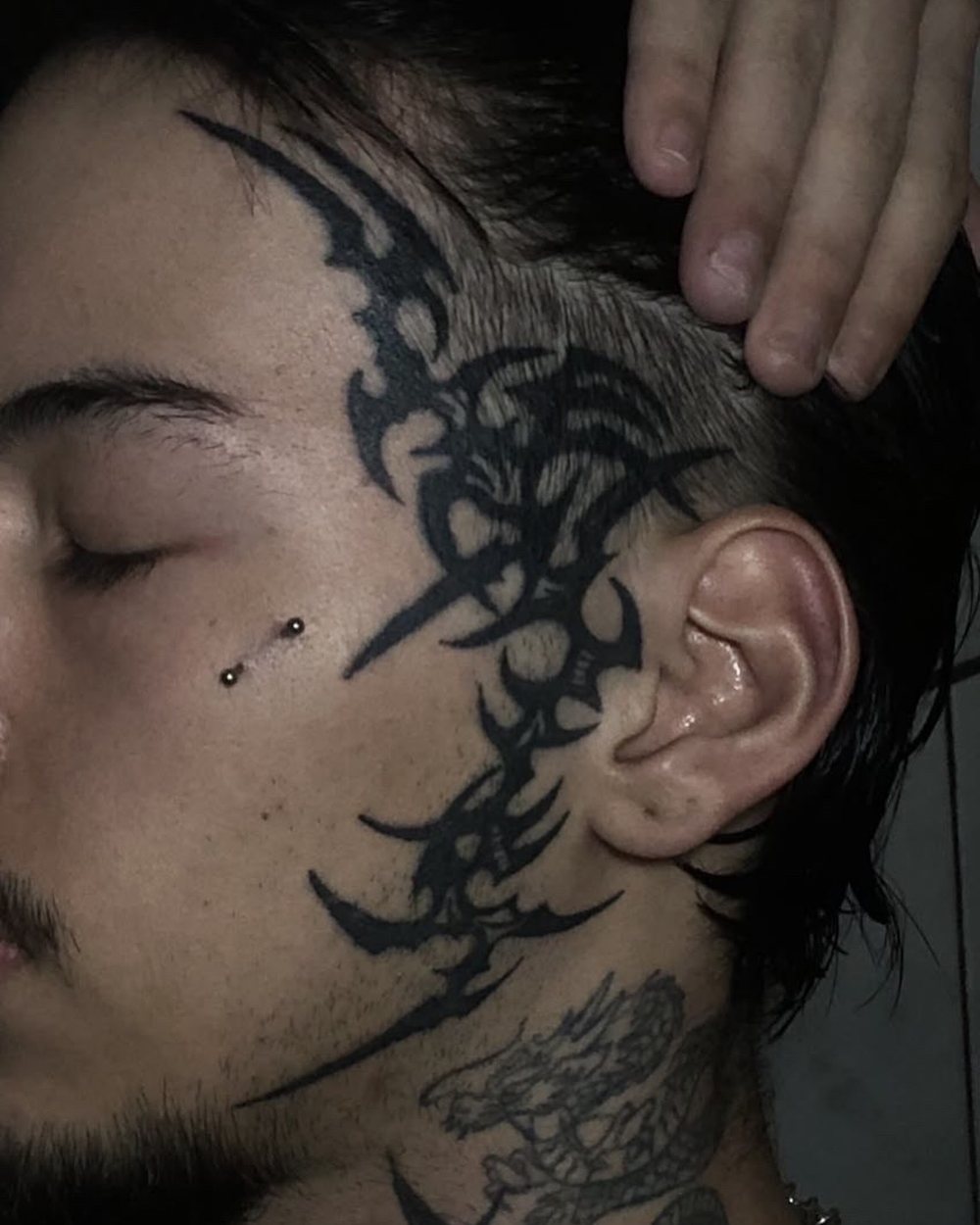 Cabeça e orelha, cabeça, freehand
