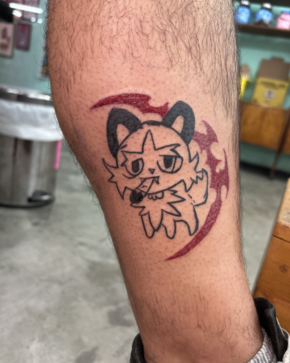 Gato, panturrilha, ignorant