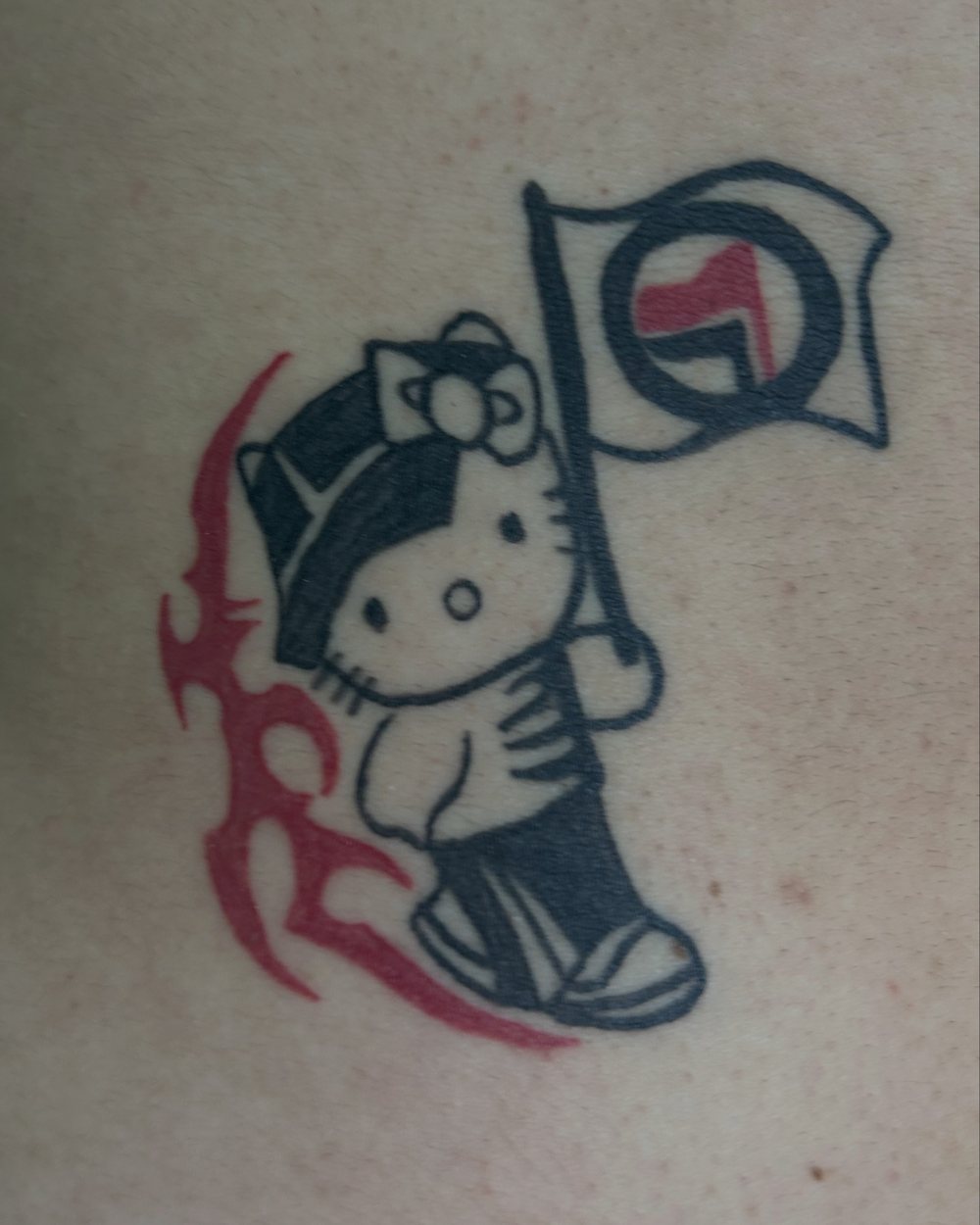 Hello Kitty com bandeira, perna, ignorant